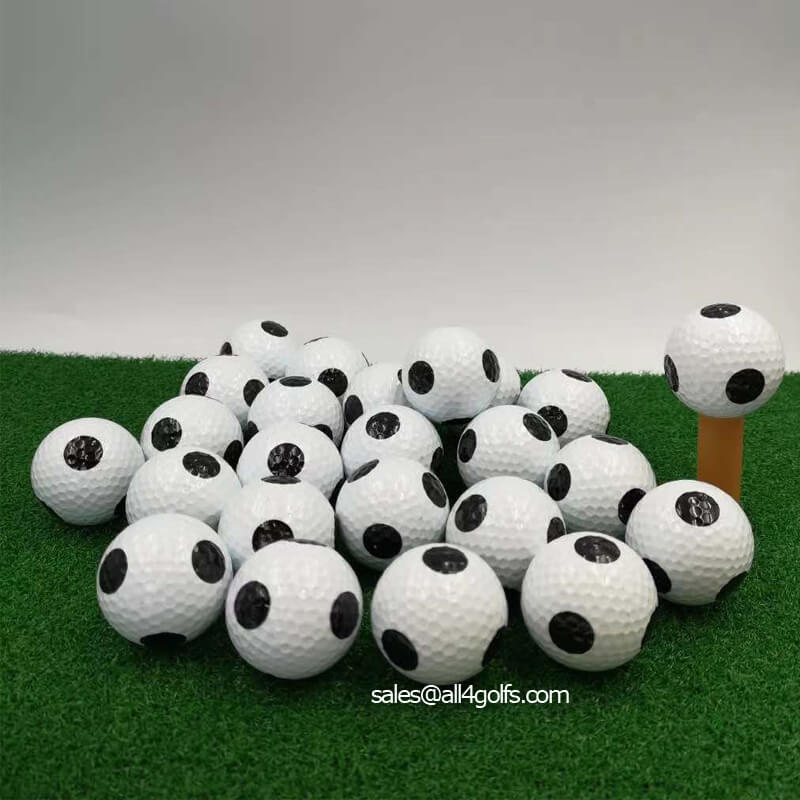 Fun Practice Golf Ball