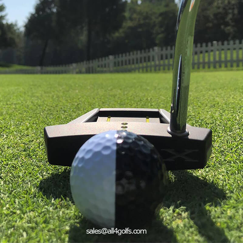 White And Black Golf Ball